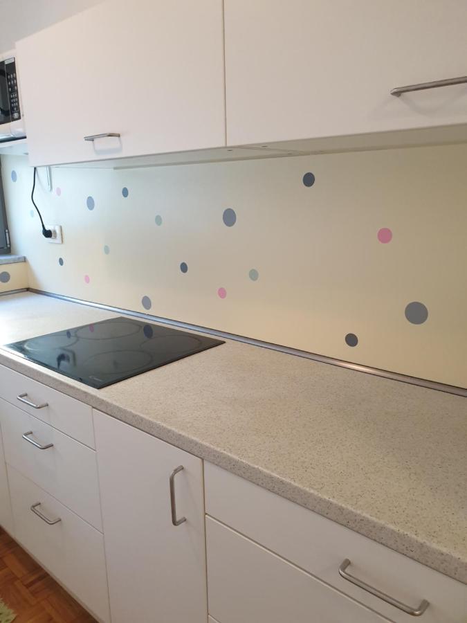 Apartment Emma Ljubljana - Free Parking, Ac, Wifi 외부 사진
