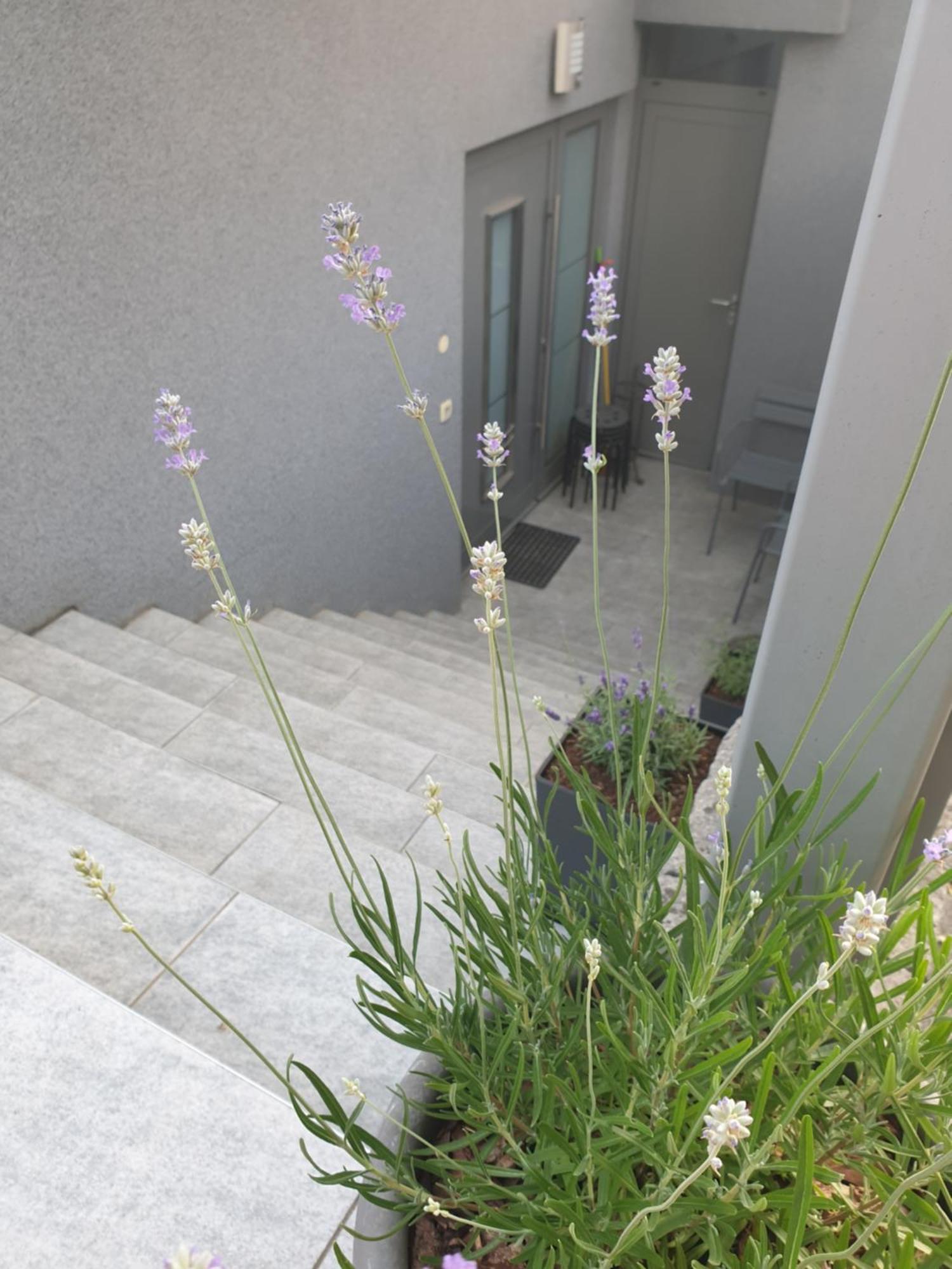 Apartment Emma Ljubljana - Free Parking, Ac, Wifi 객실 사진